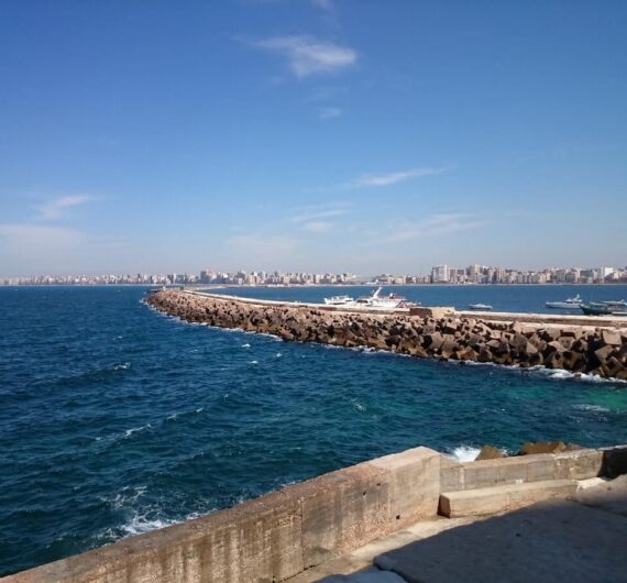 Alexandria-1-min